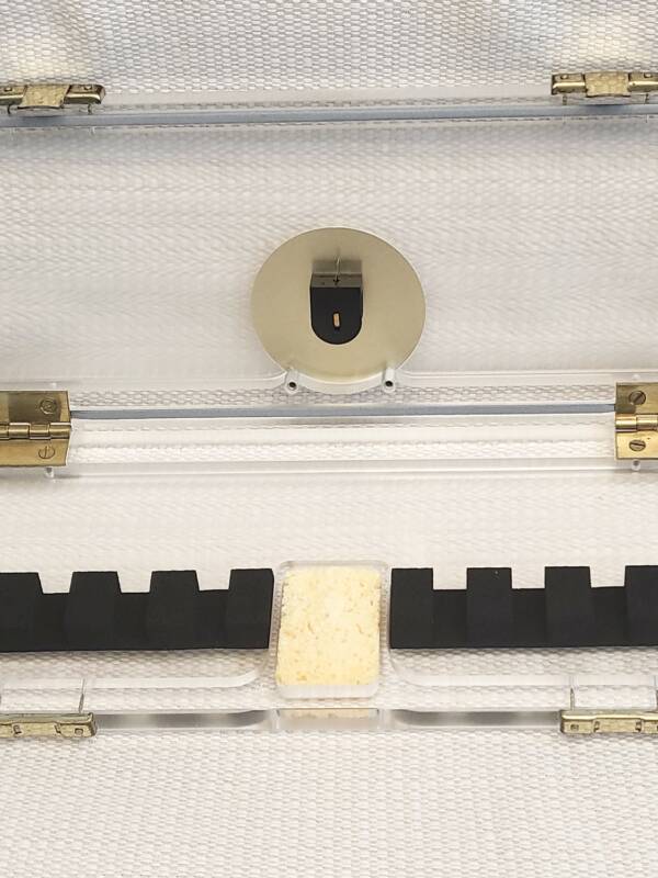 Caixa higrométrica "Reeds 'n Stuff"